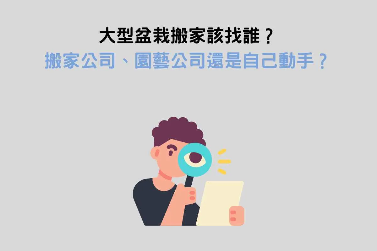 大型盆栽搬家該找誰？搬家公司、園藝公司還是自己動手？