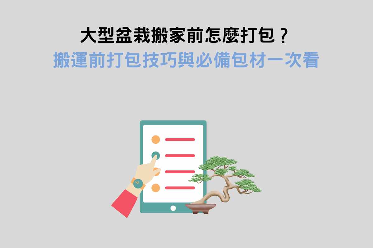 大型盆栽搬家前怎麼打包？搬運前打包技巧與必備包材一次看
