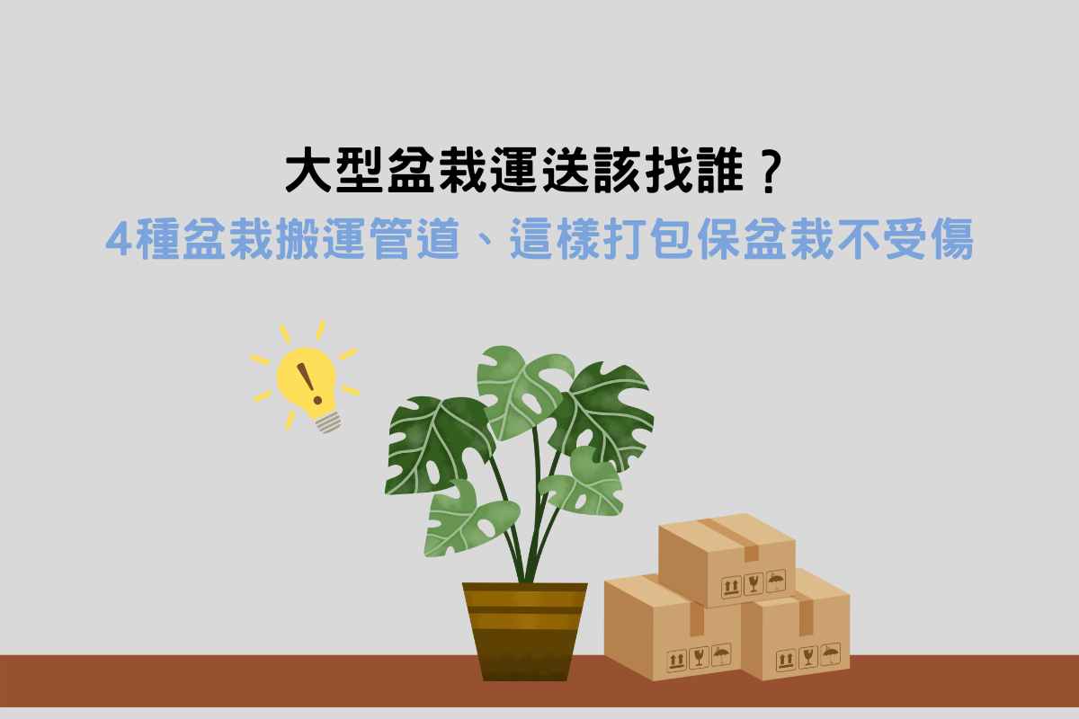 Read more about the article 大型盆栽運送該找誰？4種盆栽搬運管道、這樣打包保盆栽不受傷