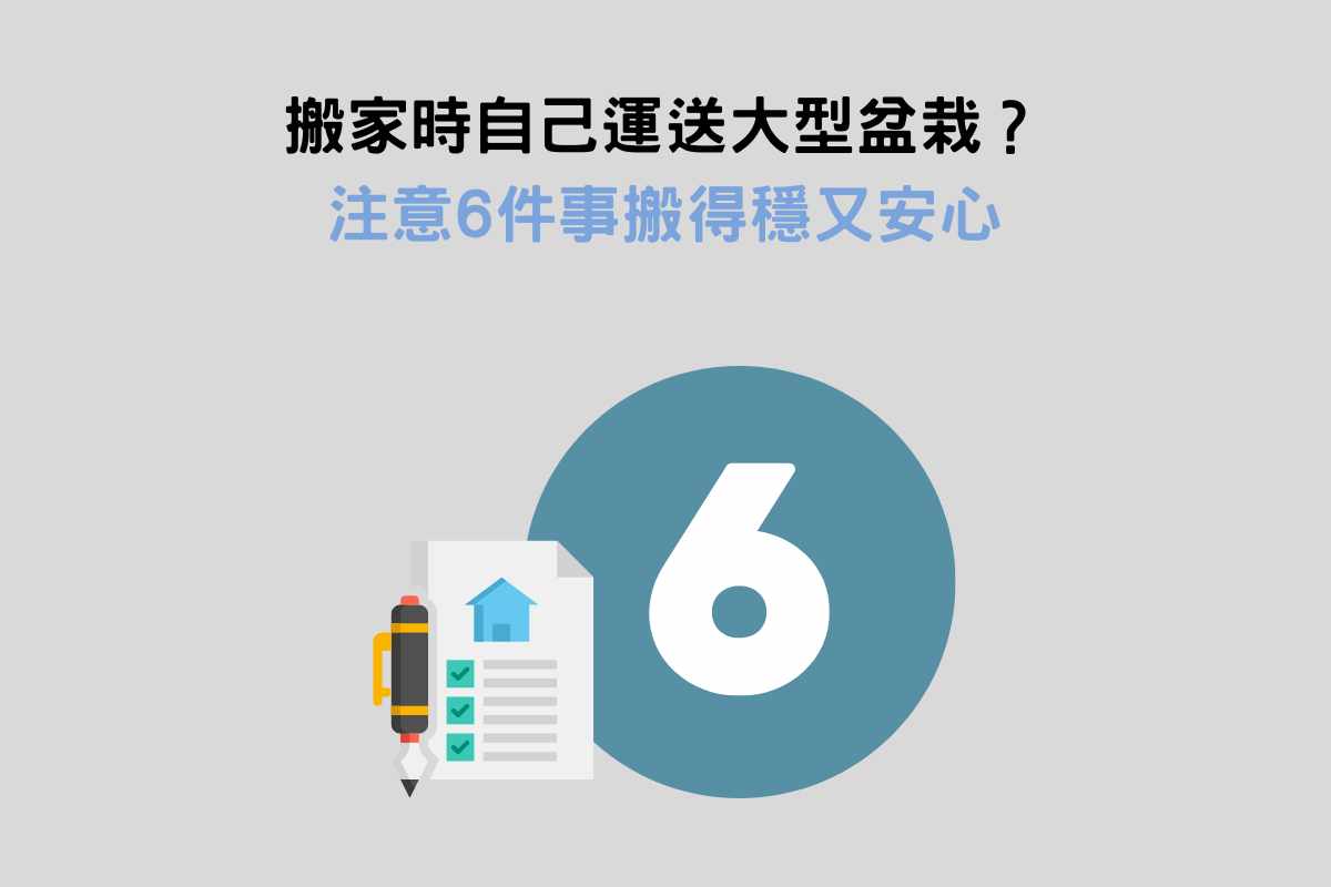 搬家時自己運送大型盆栽？注意6件事搬得穩又安心